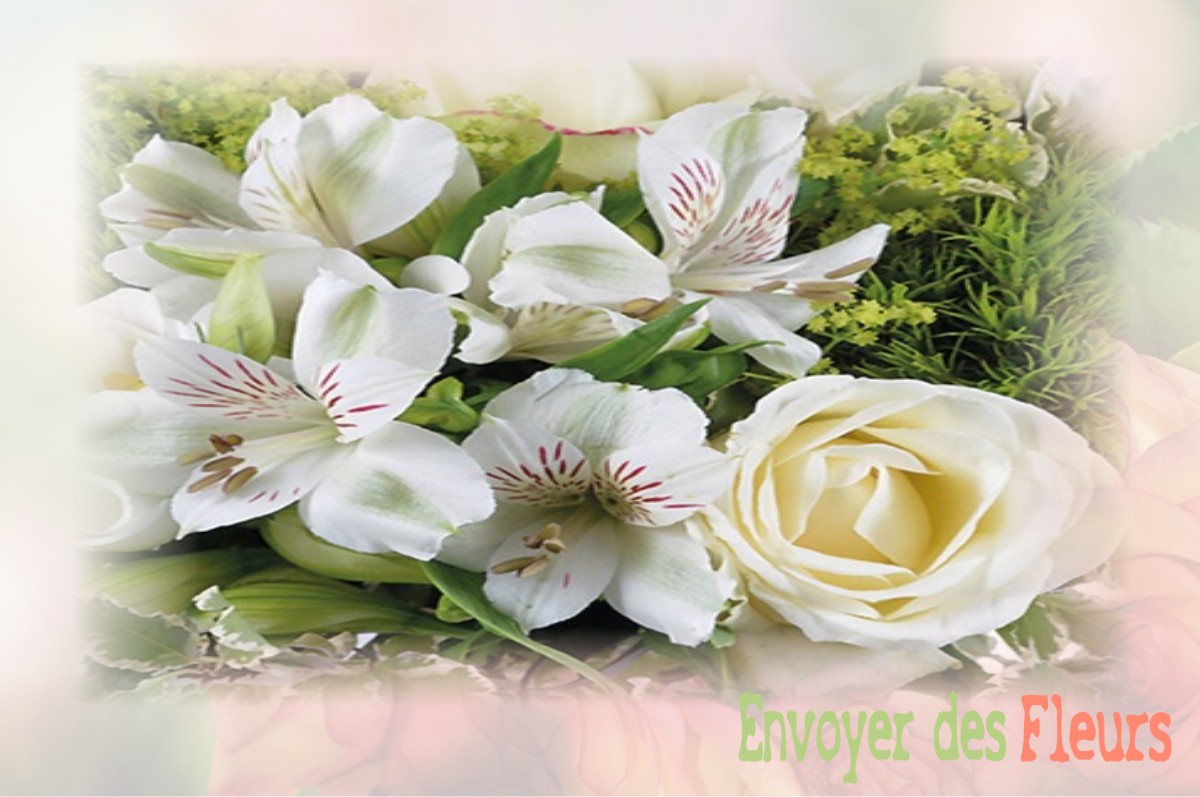 envoyer des fleurs à à VENDEGIES-AU-BOIS
